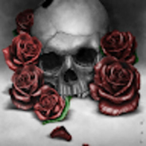 Meet your Posher, Kendra